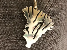 The UAE Jewelry Designer Purchases 50W Fiber Laser Marking Machine