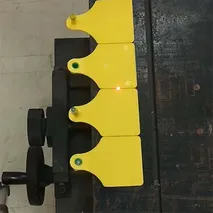 Animal ear tag laser marking
